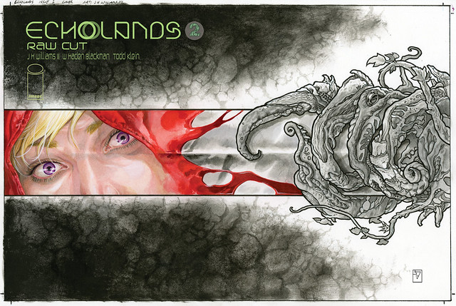 Echolands 2-cover- Raw Cut A
